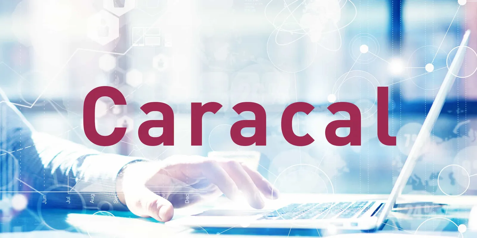 Webinar Caracal