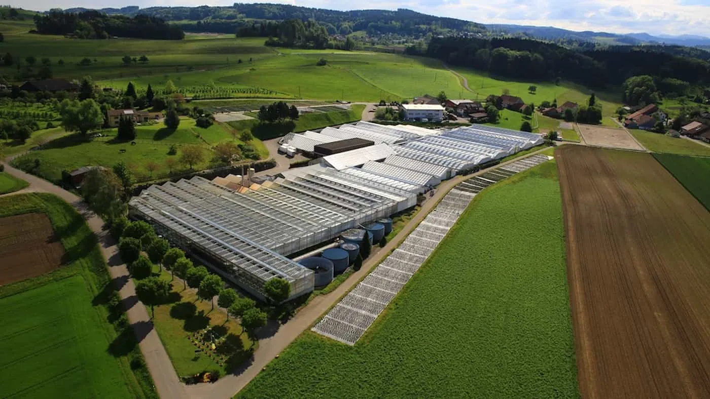 Die Lamprecht Pflanzen AG nutzt die Schnittstelle zwischen Perigon Agro und der Blumenbörse Schweiz im täglichen Betrieb.